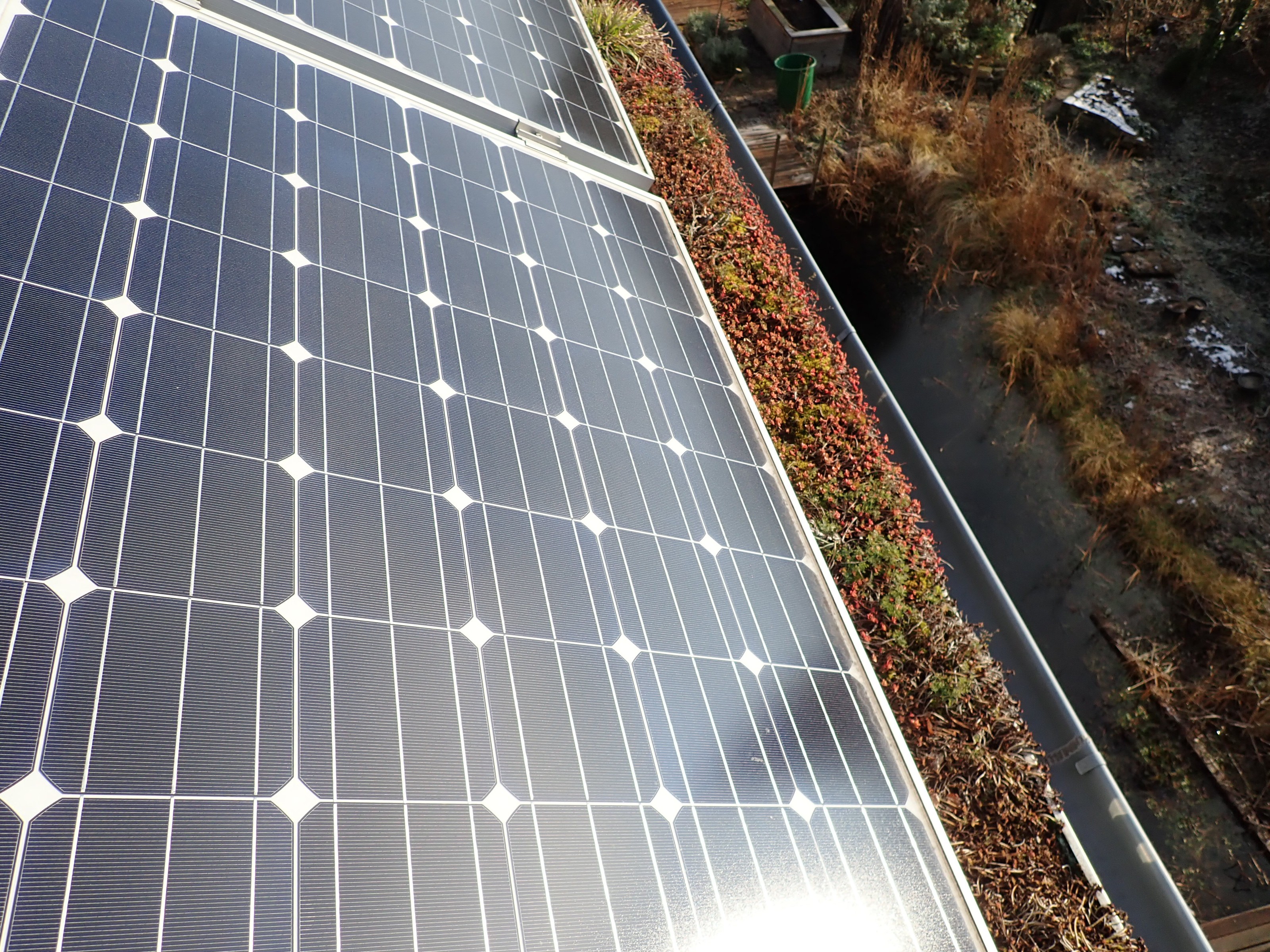 PV Modul und Begrünung